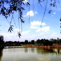 1605156791372181.jpg 学校风景.jpg
